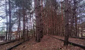 Bocznica kolejowa do dawnej bazy CPN - photo 3/5