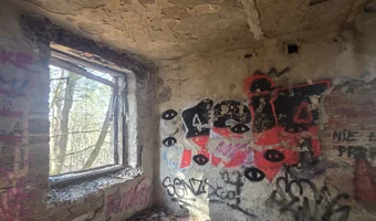 Zakład dla nerwowo i psychicznie chorych Żydów - zofiówka