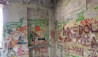 Zakład dla Nerwowo i Psychicznie Chorych Żydów - Zofiówka