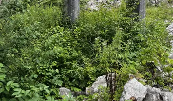 Fabryka cementu, Lubin