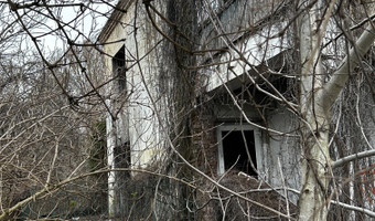 Zarośnięty dom