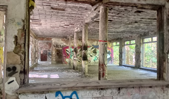 Zakład dla nerwowo i psychicznie chorych Żydów - zofiówka