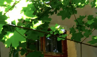 Opuszczona kamienica - zdjęcie 3/4