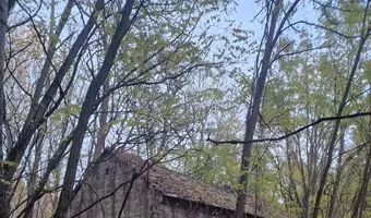 Stary dom w środku lasu - zdjęcie 4/13