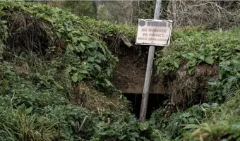 Ruiny dworku