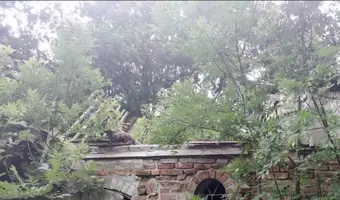 Opuszczony dwór z 1900 roku - zdjęcie 2/4