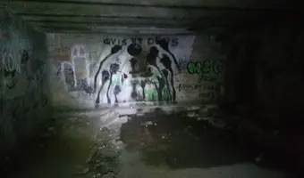 Zakład dla Nerwowo i Psychicznie Chorych Żydów - Zofiówka