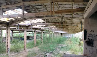 Cegielnia Sołtyków, Sołtyków