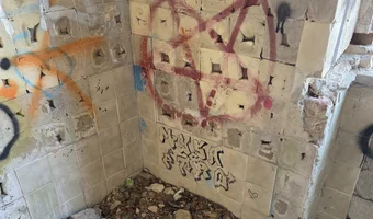 Zakład dla nerwowo i psychicznie chorych Żydów - zofiówka