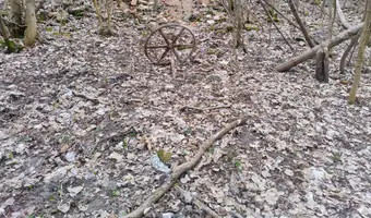 Ruiny dworu p. kleczkowskiej w wiączyniu dolnym - zdjęcie 3/4