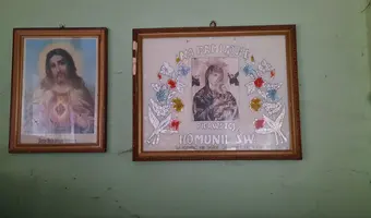 Dwór w pisarzowicach - zdjęcie 4/4