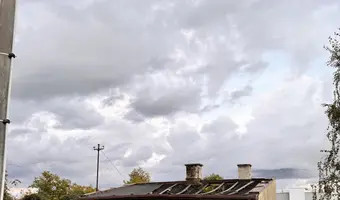 Mocno zarośnięty dom przy drodze
