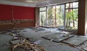 Złota sosna - zdjęcie 4/4