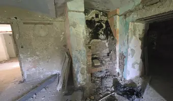 Pałac z  XIX-wieku., Dreżewo