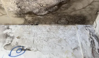 Opuszczona kamienica