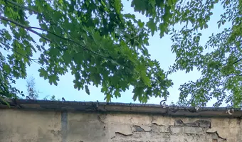 Trzy opuszczone budynki