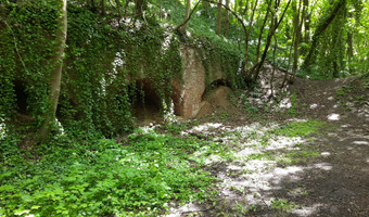 Ruiny fortu ćwiczegnego, szczecin