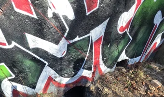 Zakład dla nerwowo i psychicznie chorych Żydów - zofiówka