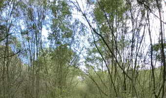 Kamieniołom liban, kraków - zdjęcie 4/4