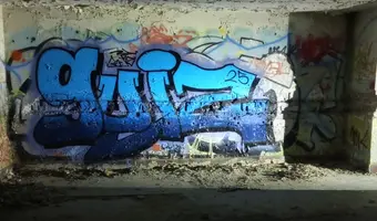 Zakład dla Nerwowo i Psychicznie Chorych Żydów - Zofiówka