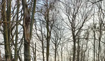 Opuszczone kąpielisko, Zabrze