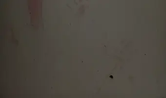 Opuszczony dom na skraju lasu