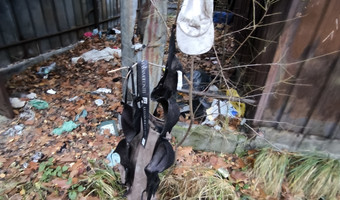 Opuszczone zaplecze p k s