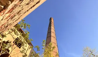 Cegielnia ,, gotyka'', czaple wolne - zdjęcie 2/4