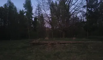 Opuszczona Wieś w Kampinoskim PN
