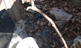 Ruiny domku - photo 2/4