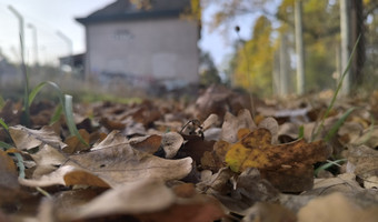Opuszczony dom w którym sprzedawano bilety.