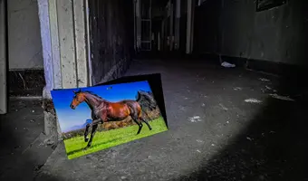 Ośrodek wczasowo wypoczynkowy dla emerytów - zdjęcie 2/4
