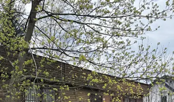 Opuszczony sklep - zdjęcie 3/3