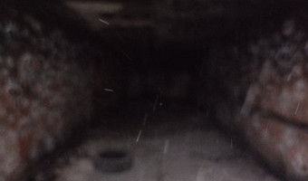 Zakład dla nerwowo i psychicznie chorych Żydów - zofiówka