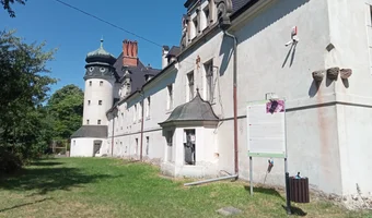 Pałac, dąbrowa niemodlińska