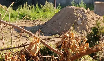 Silosy Spożywcze, Włocławek
