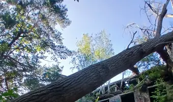 Zakład dla Nerwowo i Psychicznie Chorych Żydów - Zofiówka