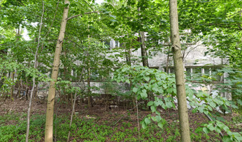 Kolonie w justynowie, justynów