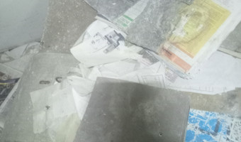 Dawna Villa Heinrichslust,