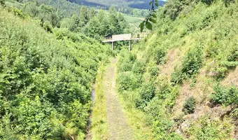 Opuszczony tunel kolejowy, Ogorzelec