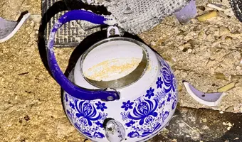 Mocno zarośnięty dom przy drodze