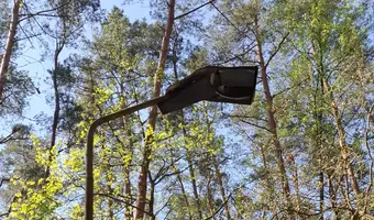 Domki letniskowe Cisza Leśna