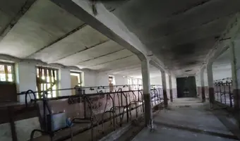 INSTYTUT HODOWLI BYDŁA, BRWINÓW