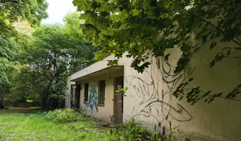 Kolonie w Justynowie, Justynów
