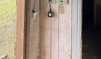 Opuszczone siedlisko - zdjęcie 4/4