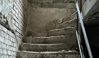 Pałac z x i x-wieku., dreżewo - photo 3/4