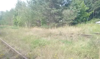 Opuszczona stacja kolejowa tama brodzka - photo 3/4