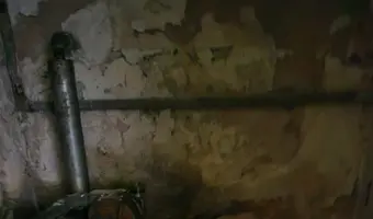 I n s t y t u t h o d o w l i b y dŁ a, b r w i nÓ w - zdjęcie 3/4