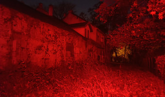 Spalone domy w parku,