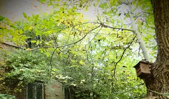 Opuszczona Kamienica